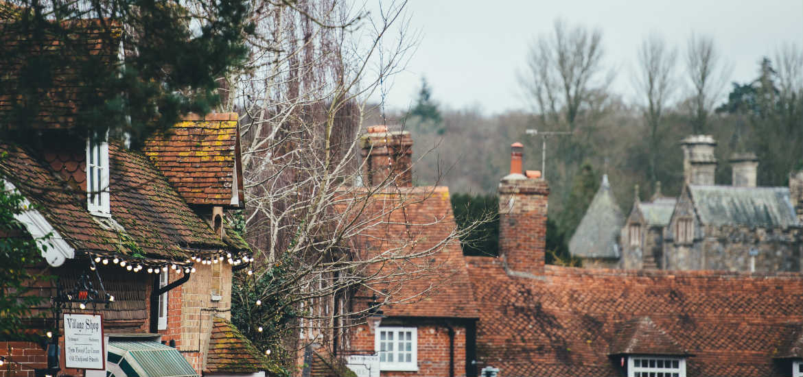 A Winter Walk In The New Forest &#124; Montagu Arms &#124; Hampshire