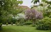Hotels with Gardens | The Montagu Arms
