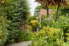New Forest Hotels with Gardens - Montagu Arms