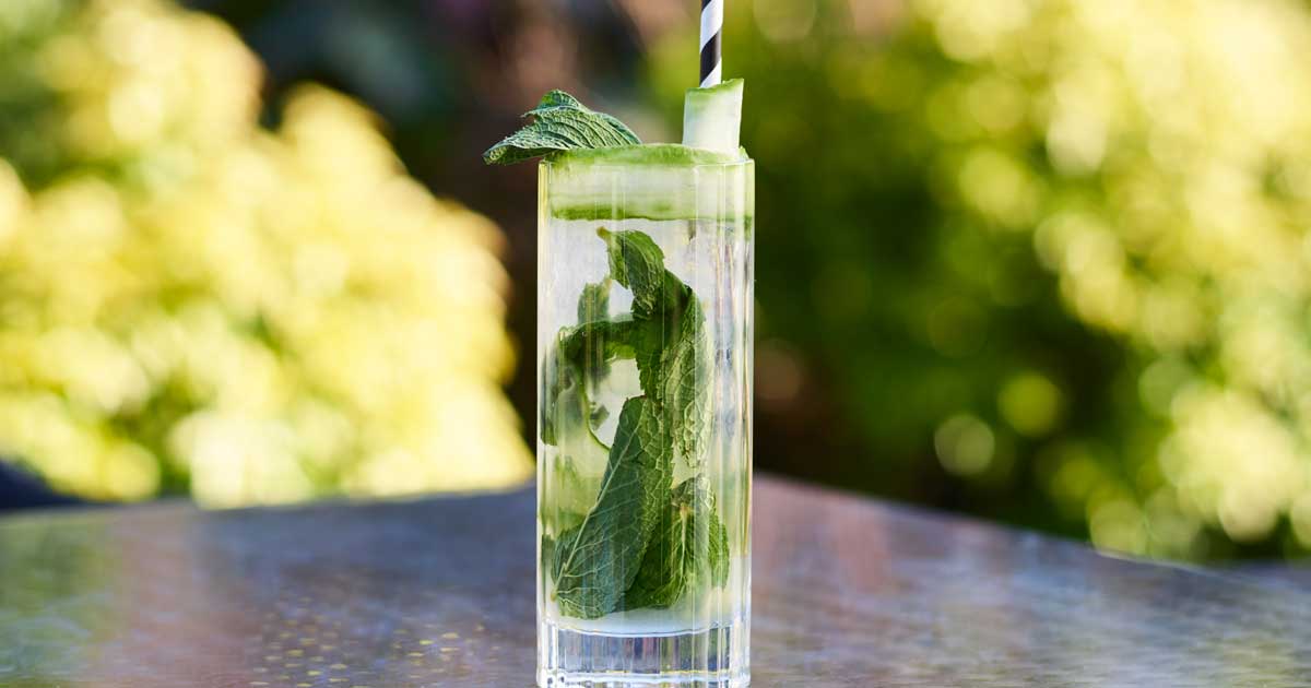 cucumber-and-mint-spring-cocktail