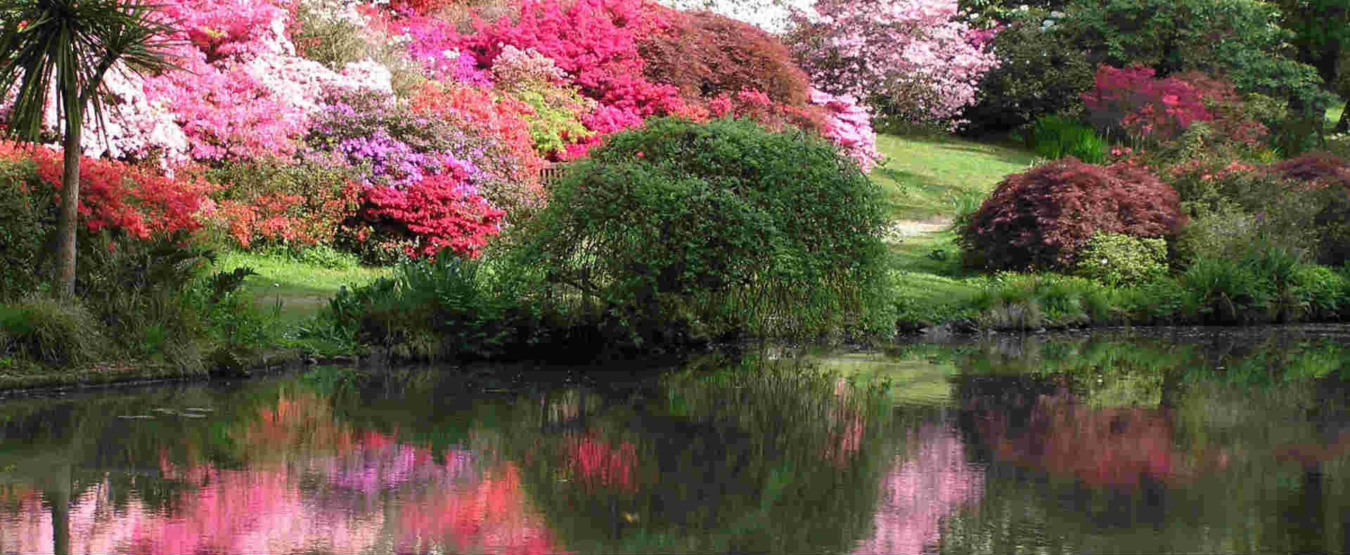 our The Famous Exbury Gardens in Beaulieu Hampshire1